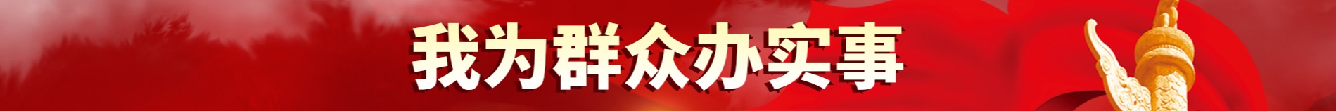 我為群眾辦實事